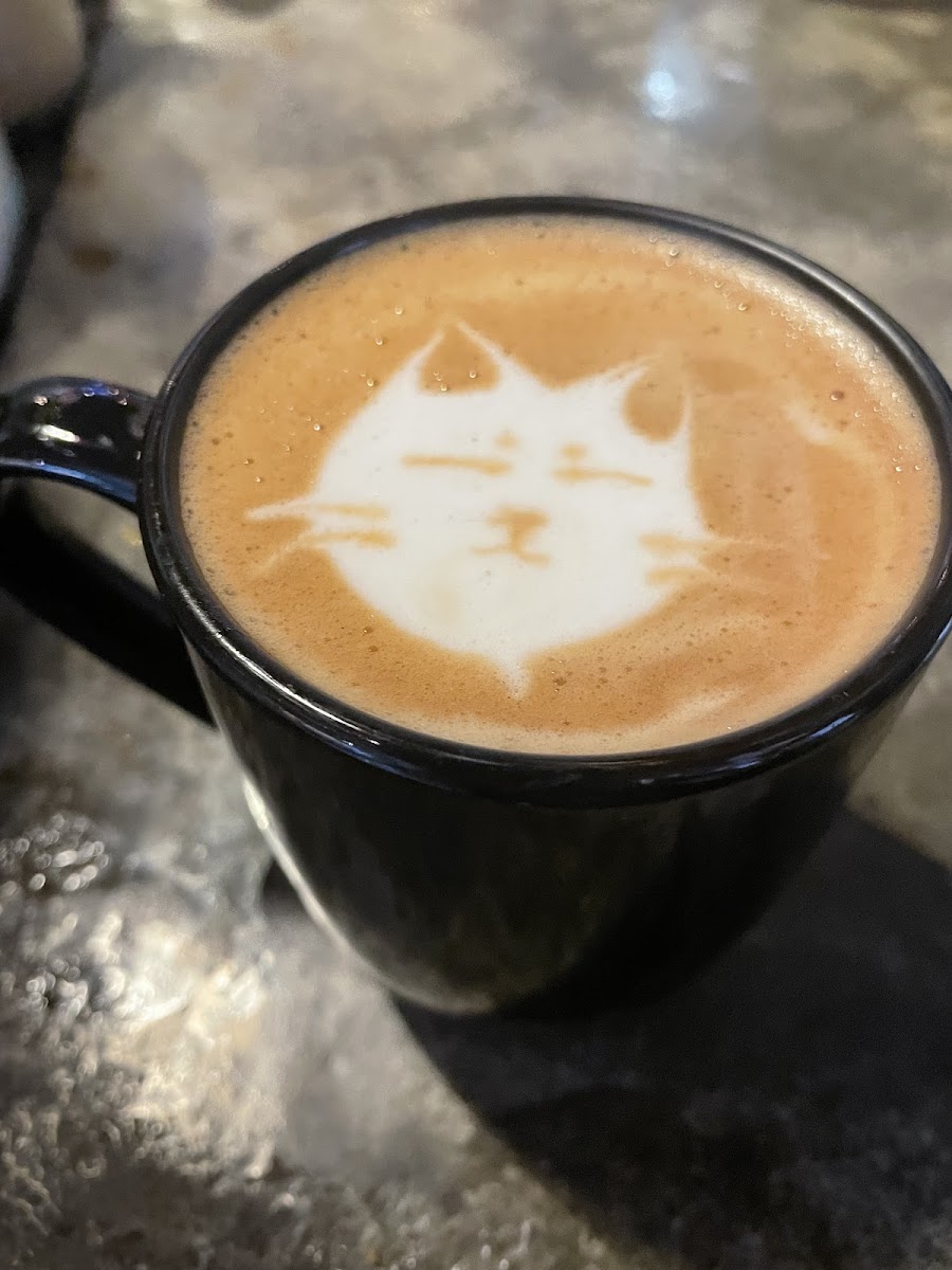 Bump N Grind Cafe Photos 2